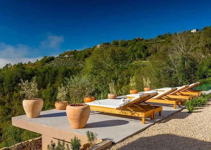 Terra Motovun