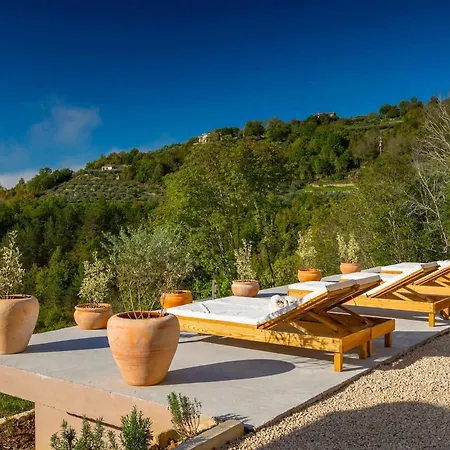 Terra موتوفون